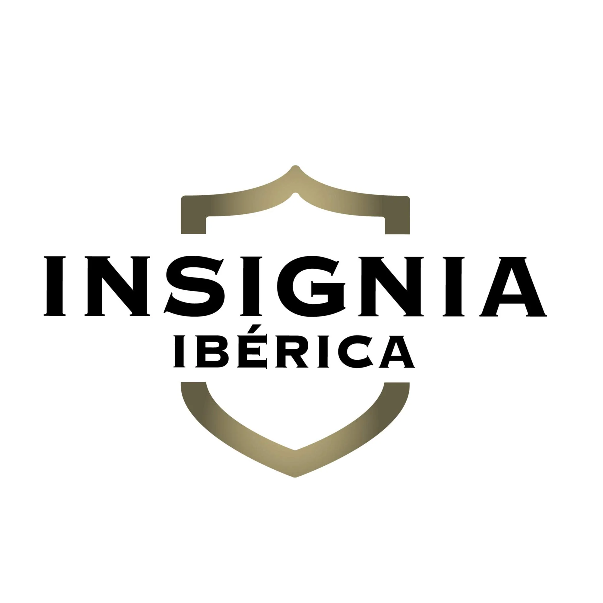 5 Kg Paleta Iberica de Cebo, Pata Negra, 100% Natural de BADAJOZ, Curación de 24-28 meses - Jamón Ibérico de cebo| INSIGNIA IBERICA - Imagen 3